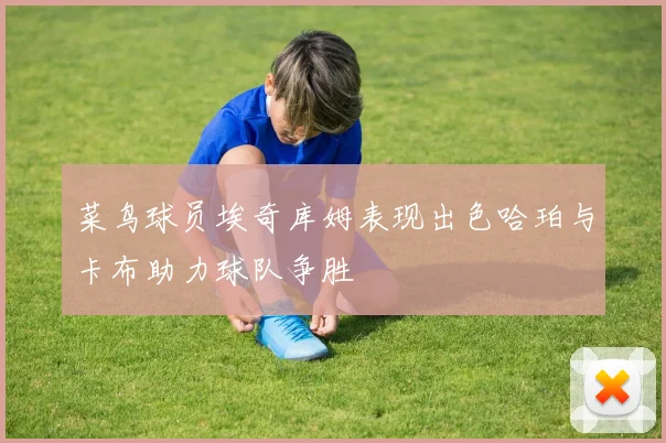 菜鸟球员埃奇库姆表现出色哈珀与卡布助力球队争胜